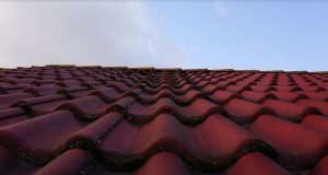 prix nettoyage toiture, entretien toiture