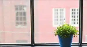 fenêtre PVC alu ou bois, fenêtre vitre menuiserie