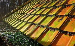 Lire la suite à propos de l’article Nettoyage de la toiture : comment ne pas faire d’erreur