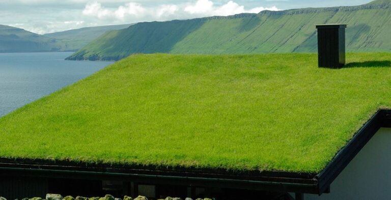 toiture végétalisée conseils