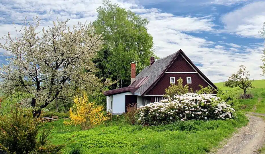 chalet en bois