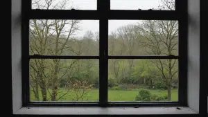 découvrez ce que je vois à travers ma fenêtre avec cette exploration captivante de notre environnement quotidien.