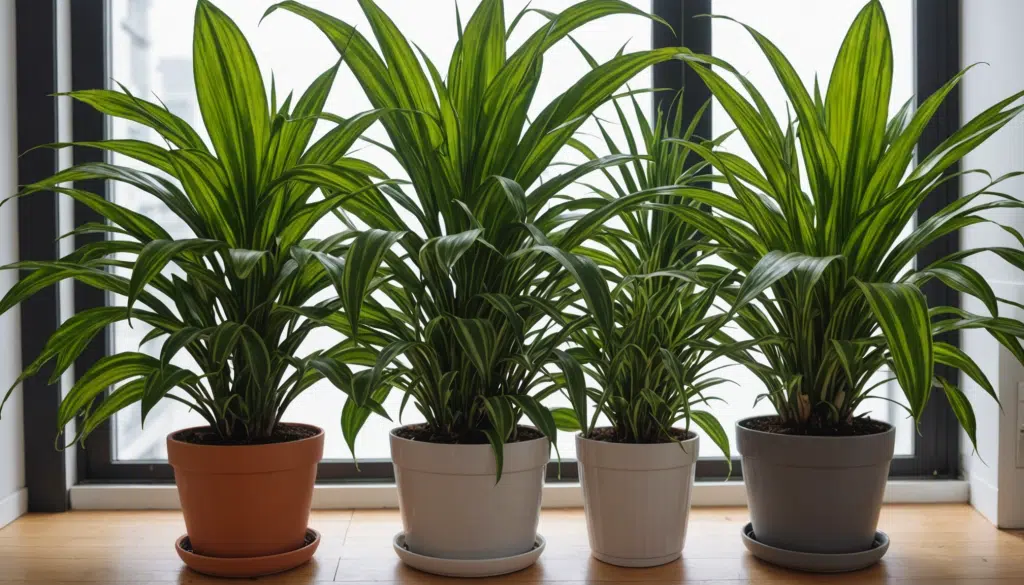 découvrez des conseils pratiques et des solutions efficaces pour lutter contre la condensation sur les fenêtres. apprenez à améliorer l'isolation de votre intérieur et à réduire l'humidité pour profiter d'un environnement plus sain et confortable.