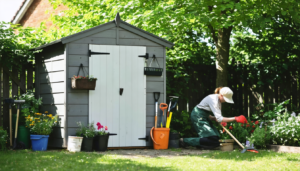 Landscape image placeholder